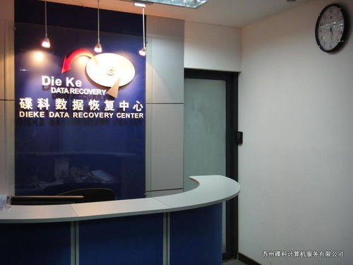 蘇州碟科計算機服務 多媒體設計的創(chuàng)新引擎